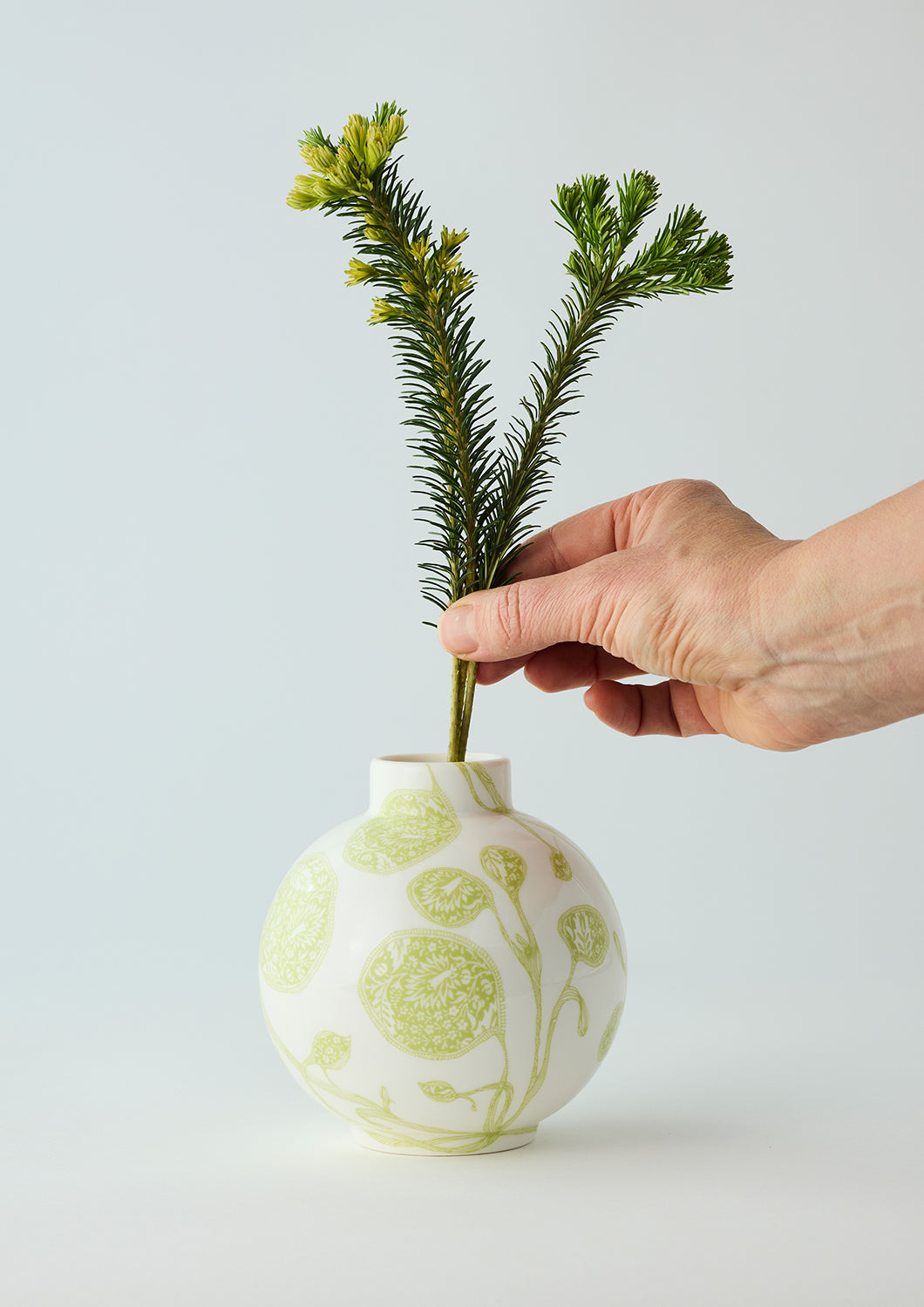 Green Nasturtium Bulb Vase