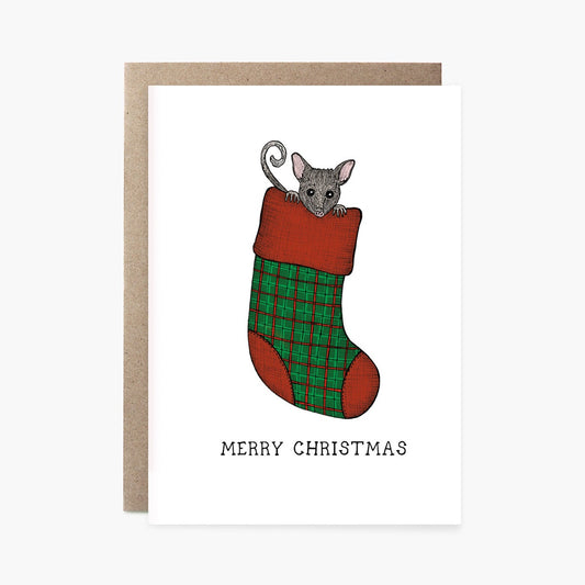 Possum Stocking Greeting Card
