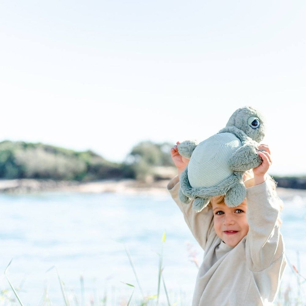 Tyler Turtle Soft Toy