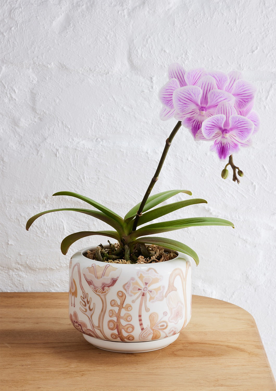 Bohemian Dusk Succulent Pot