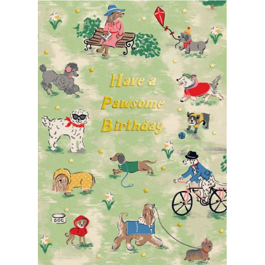 Dog Park Birthday Greeting Card