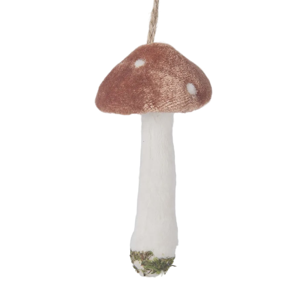 Mushroom Brown Decoration