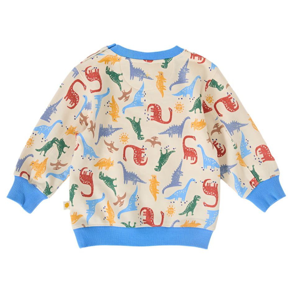 Dino-Mite Relaxed Terry Kids Sweater