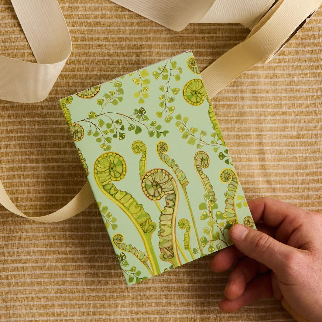 Forest Ferns Greeting Card