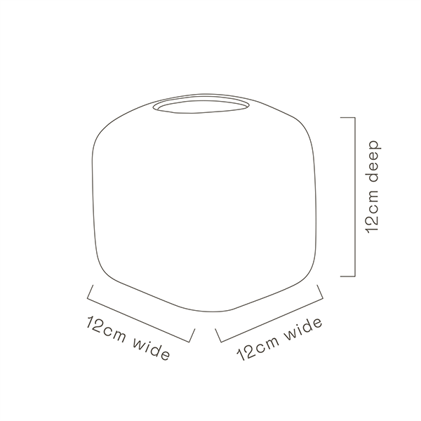 Old Man Banksia Cube Vase