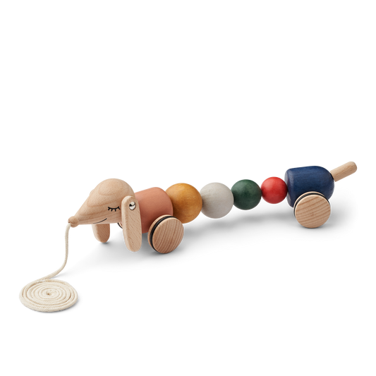 Barthes the Dog Pull Along Toy