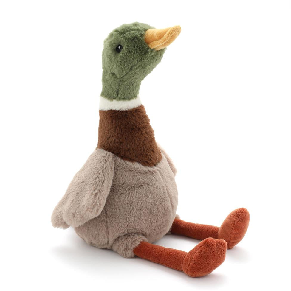 Hugo the Mallard Duck