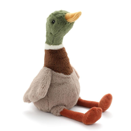 Hugo the Mallard Duck