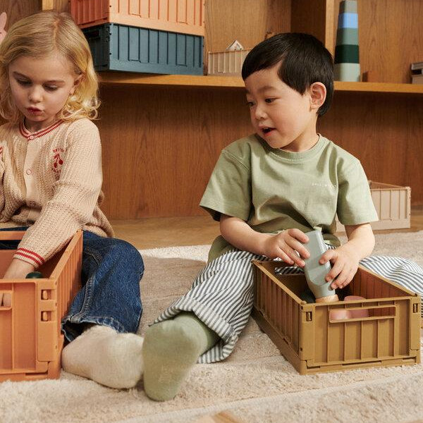 Tuscany Rose Medium Weston Storage Box 2-pack