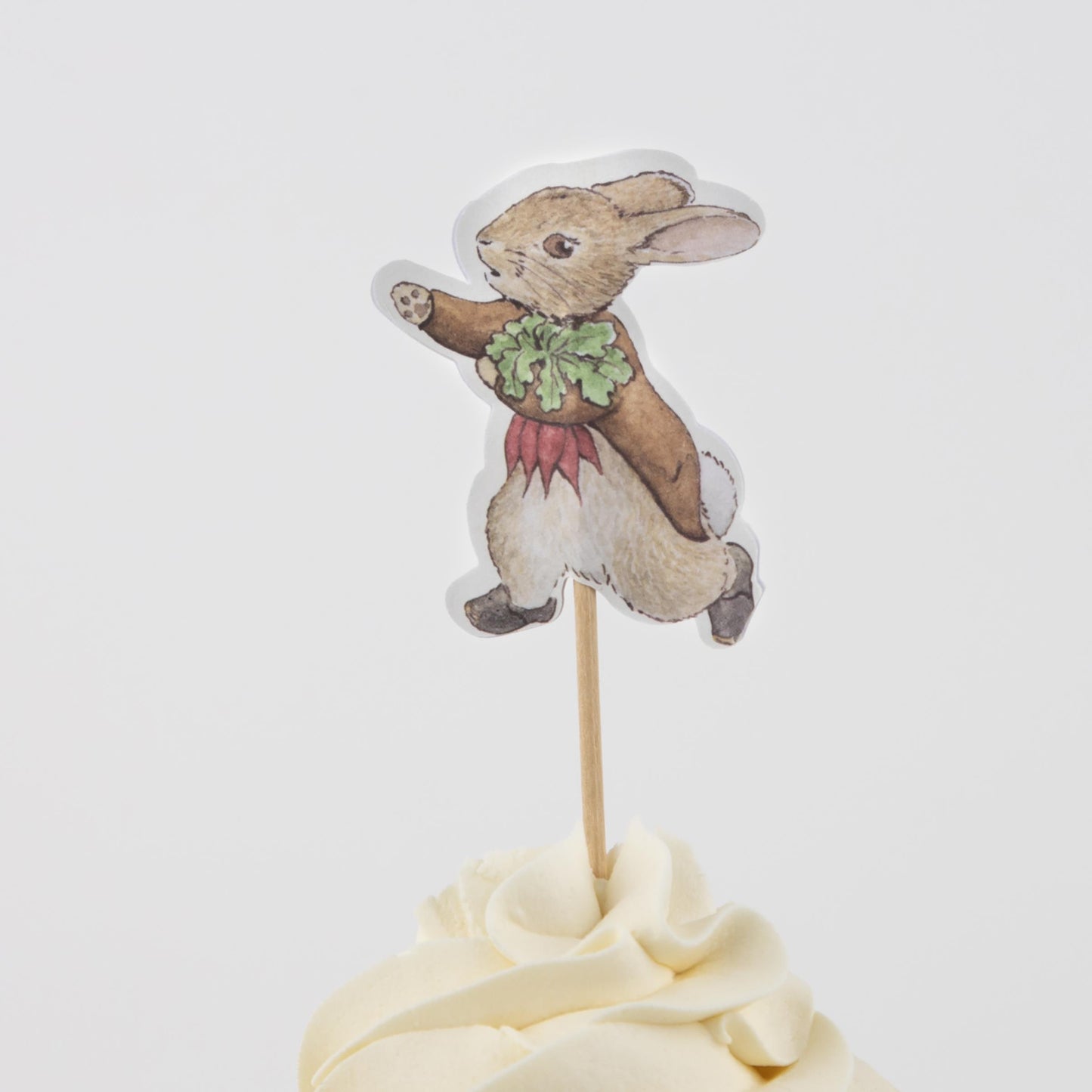 Peter Rabbit In The Garden Cupcake Kit