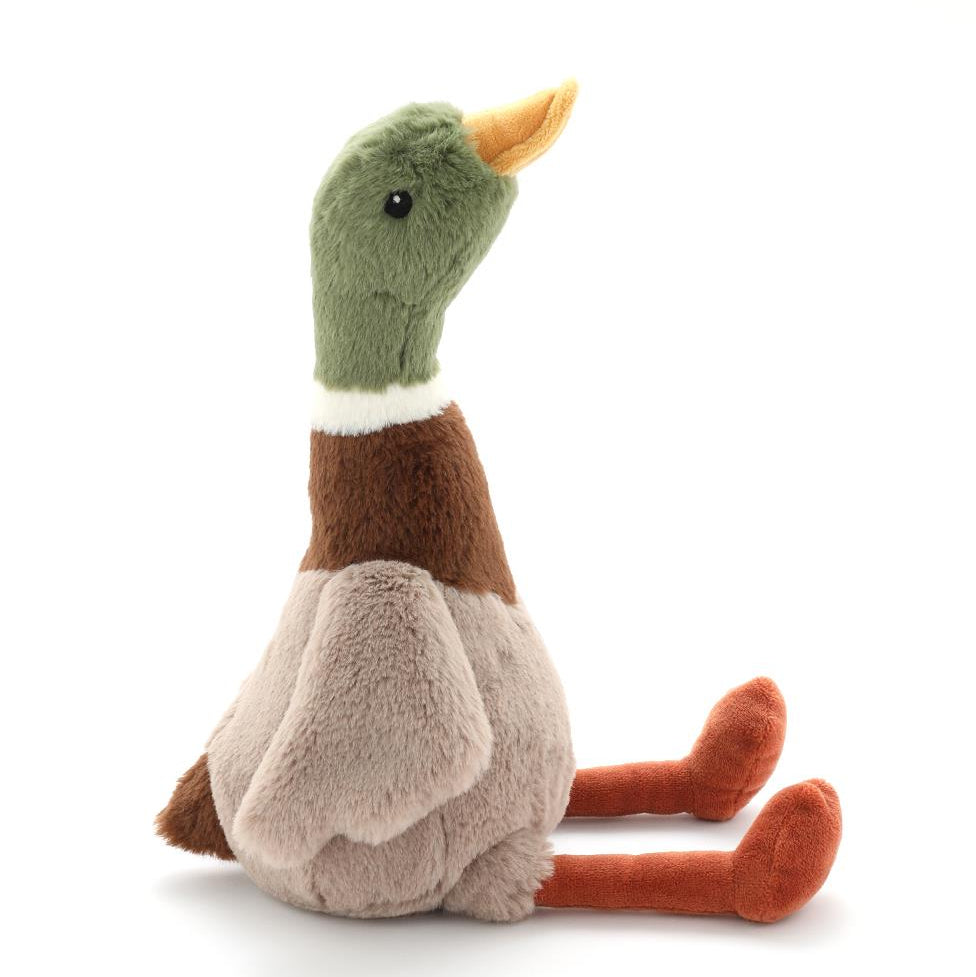 Hugo the Mallard Duck