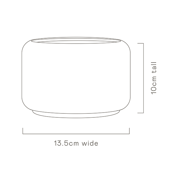 Golden Wattle Succulent Pot