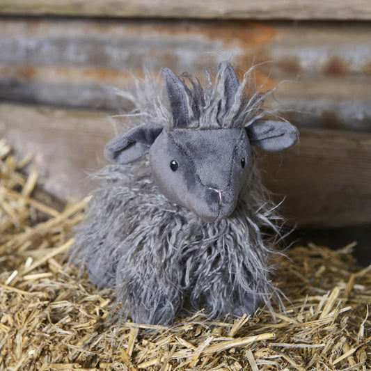 Aiden the Angora Goat