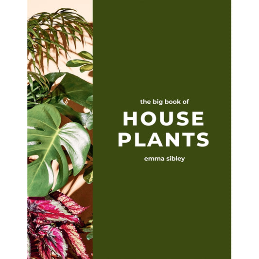 The Big Book of House Plants