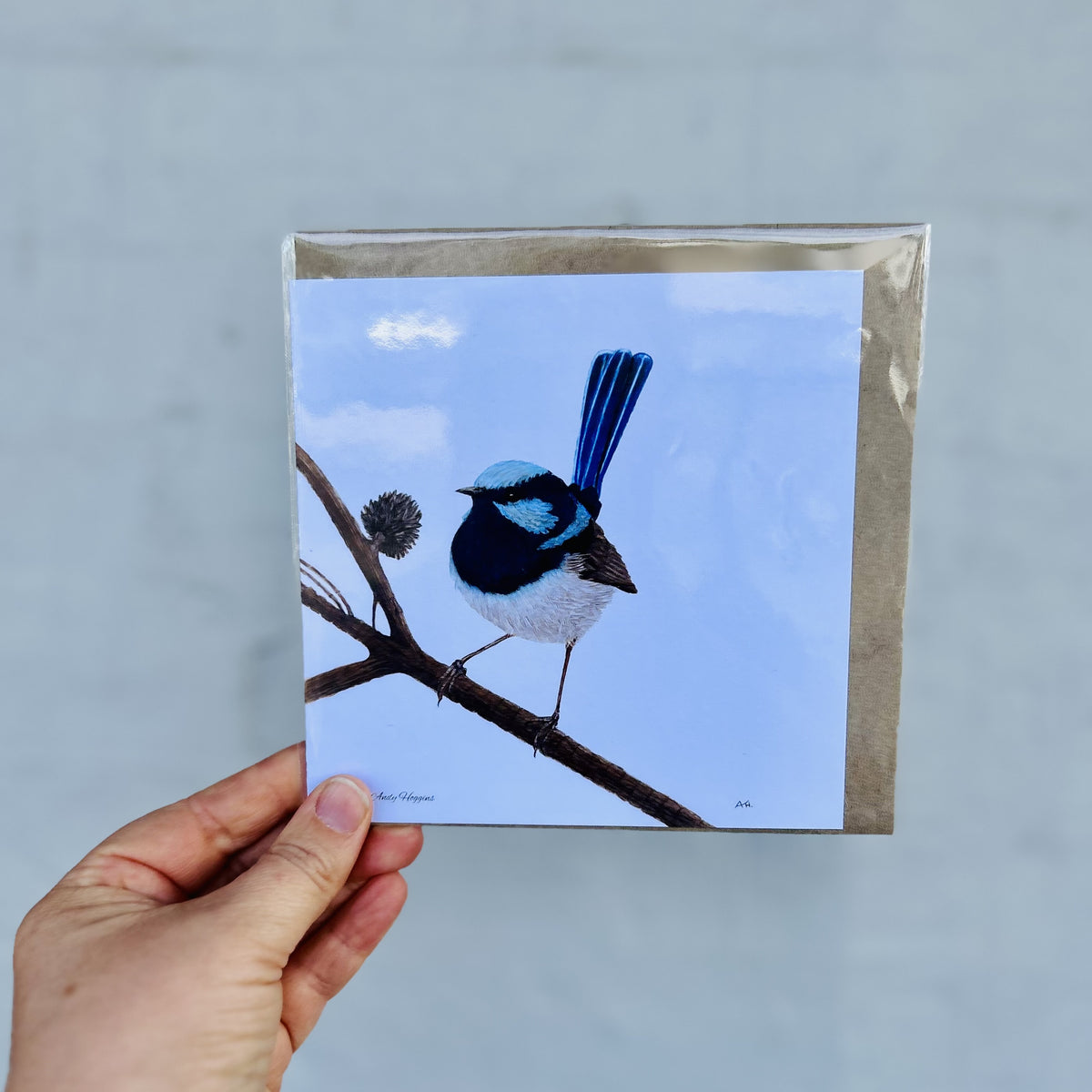 Superb Fairy Wren Greeting Card
