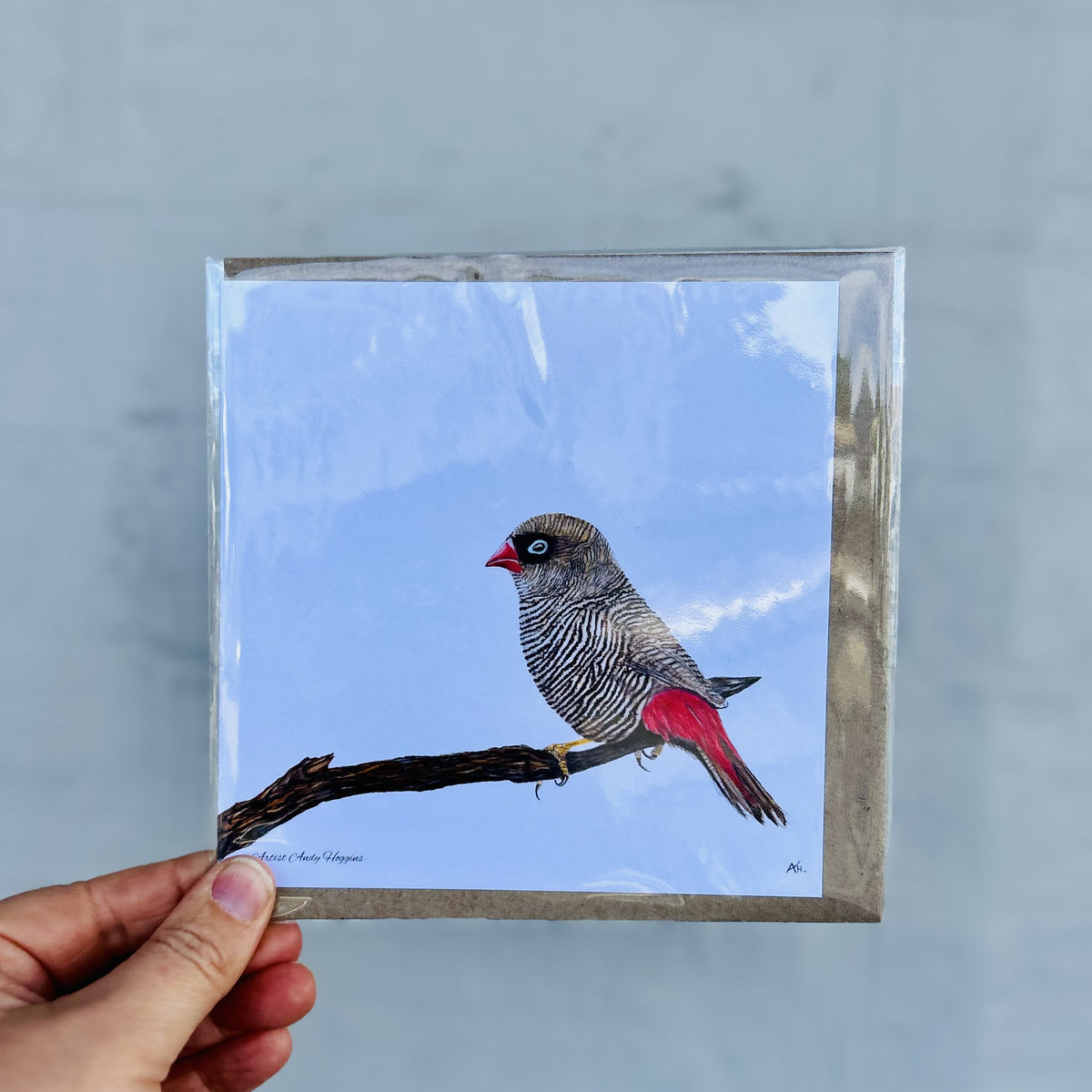Beautiful Firetail Greeting Card