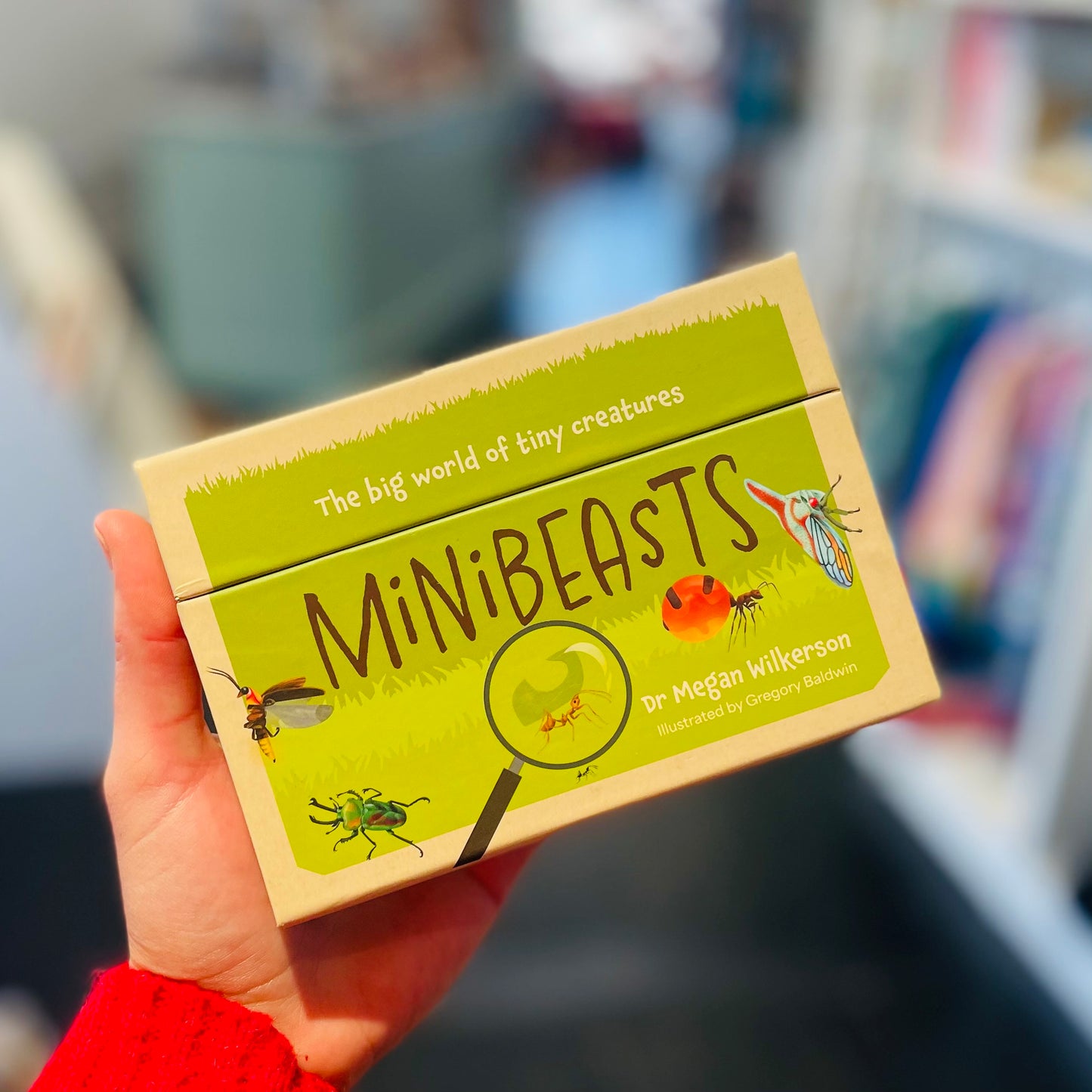 Minibeasts