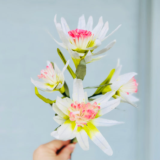 Paper Flower Protea Bunch White