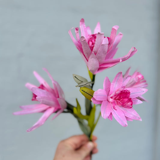 Paper Flower Protea Bunch Pink