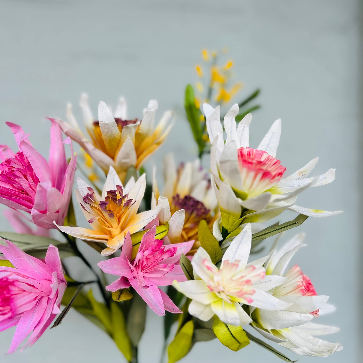 Paper Flower Protea Bunch White