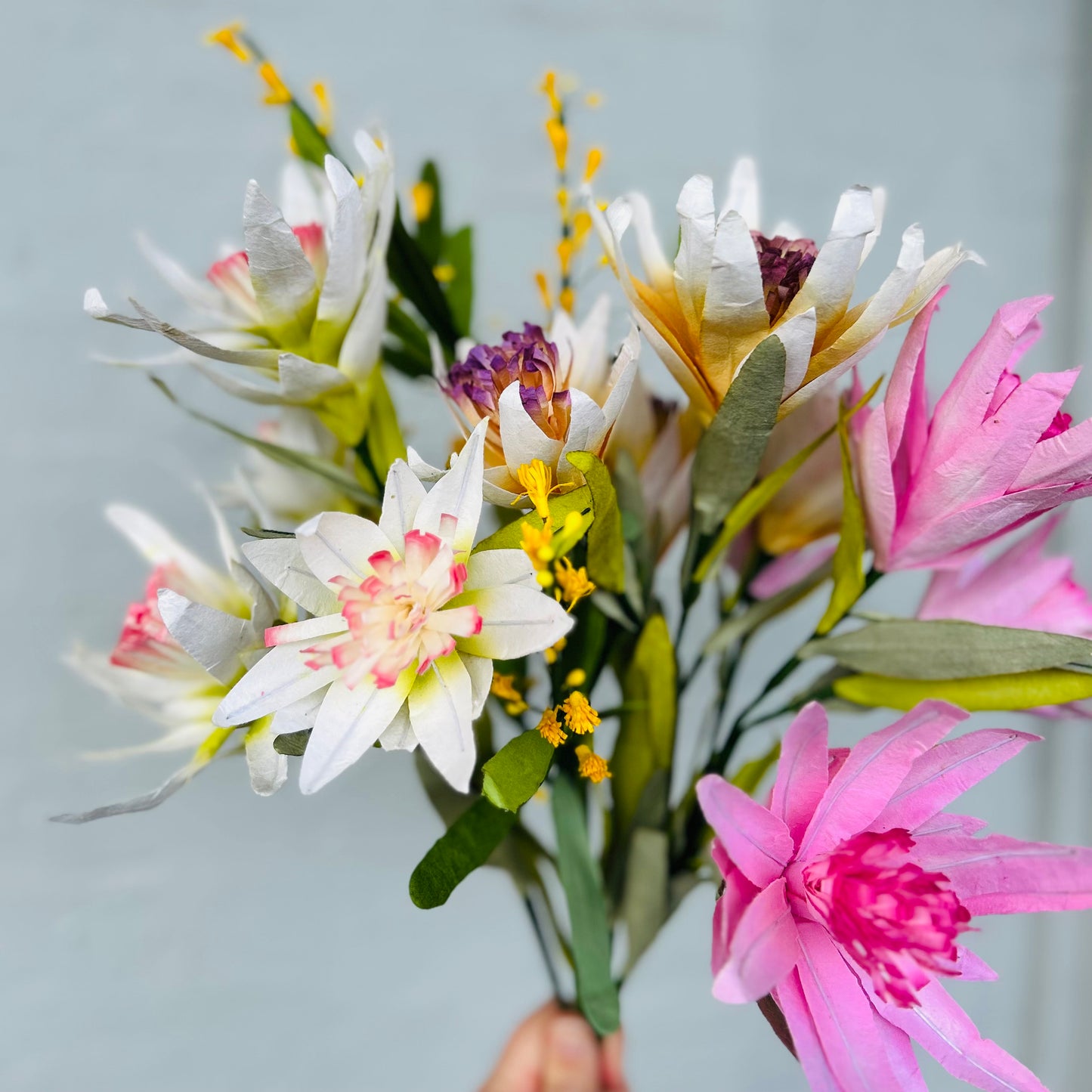 Paper Flower Protea Bunch White