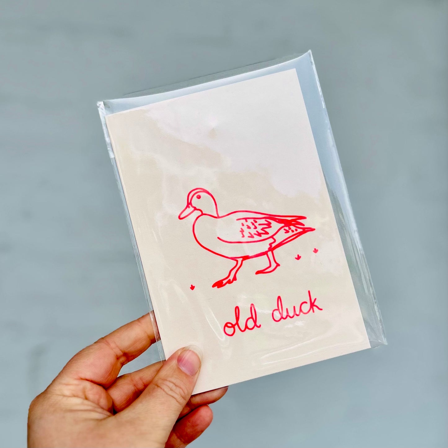 Old Duck Greeting Card