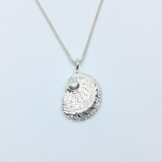 Tiny Abalone Silver Pendant Necklace With Chain