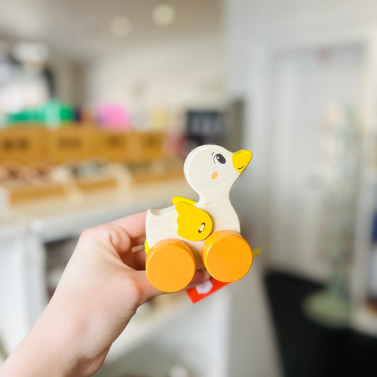 Duck Pull Along Wooden Toy