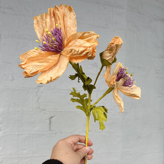 Garden Poppy Apricot Paper Flower