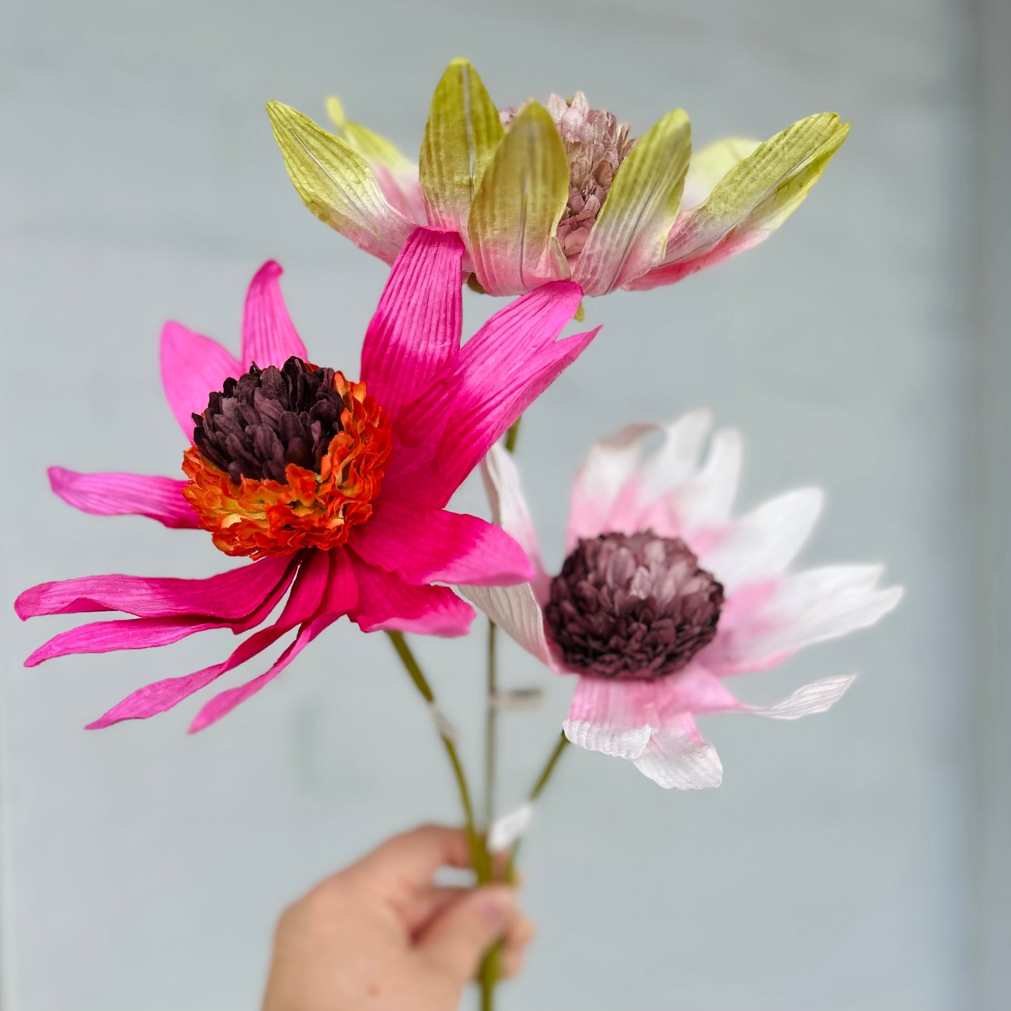 Garden Echinacea Pink Paper Flower