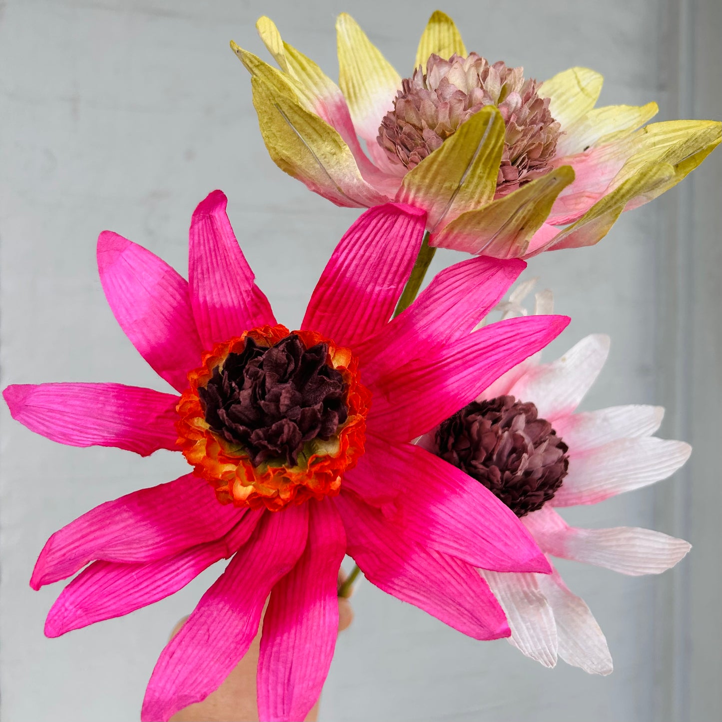 Garden Echinacea Green Paper Flower