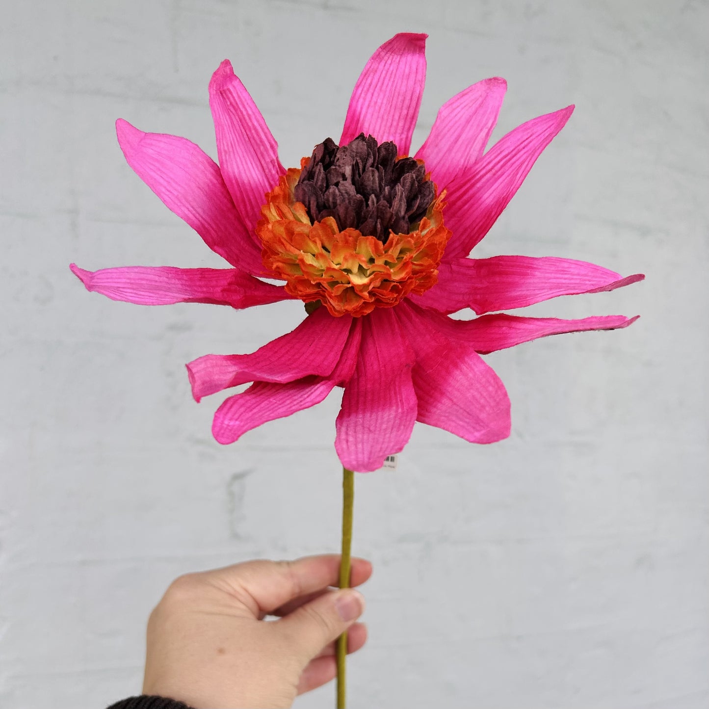 Garden Echinacea Pink Paper Flower