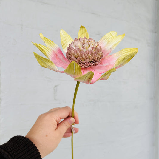 Garden Echinacea Green Paper Flower