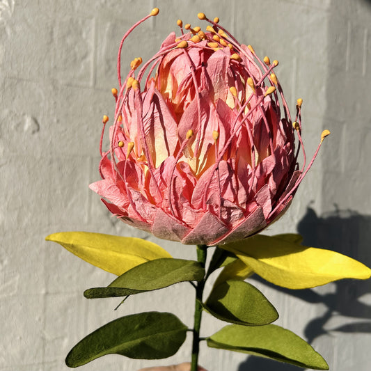 Pincushion Pink Paper Flower