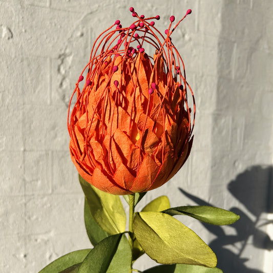 Pincushion Orange Paper Flower