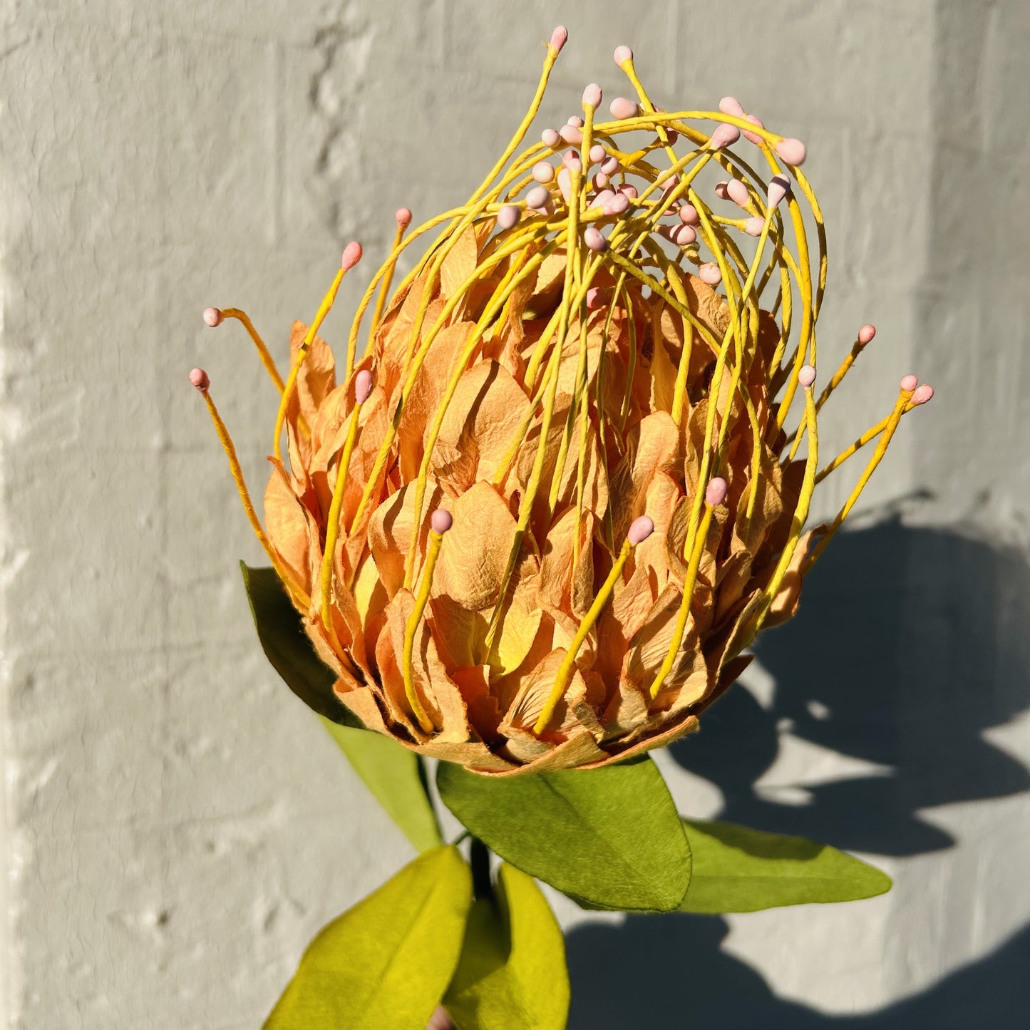 Pincushion Peach Paper Flower