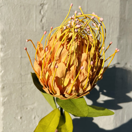 Pincushion Peach Paper Flower