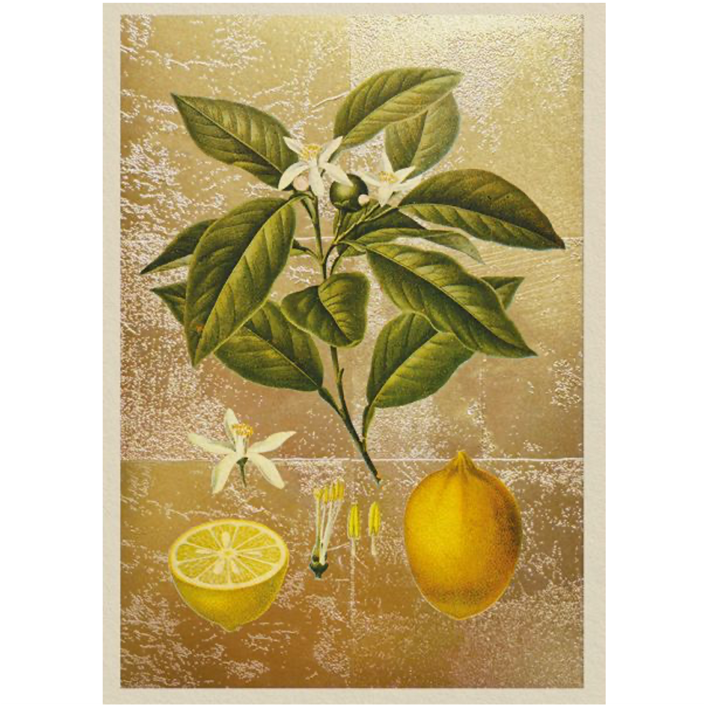 Lemon Foil Greeting Card