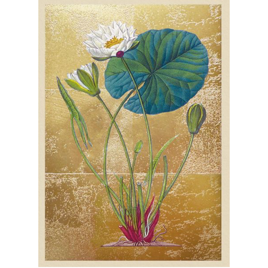 Lily Pond Foil Greeting Card