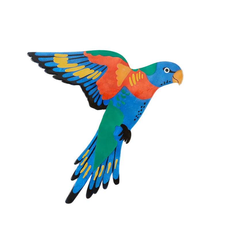 Aerial Lorikeet Wall Art