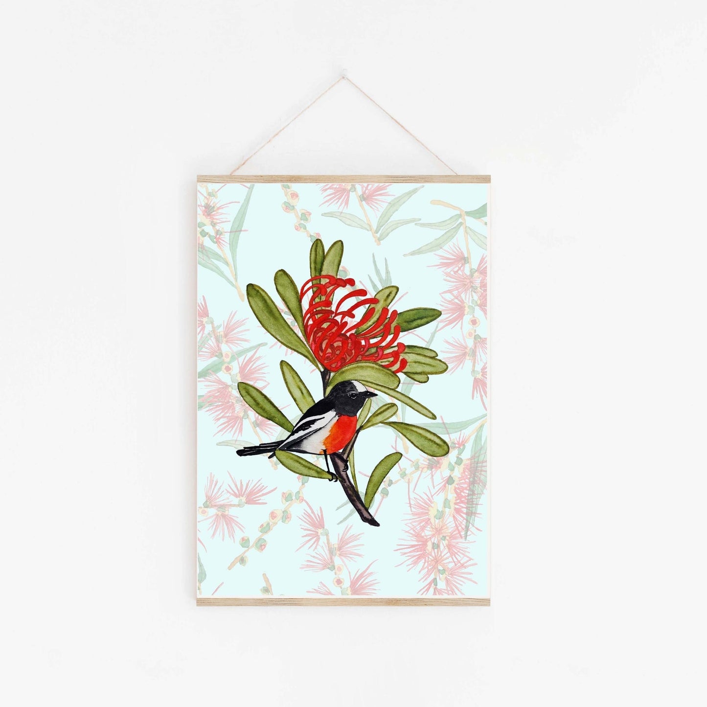 Scarlet Robin & Waratah Art Print