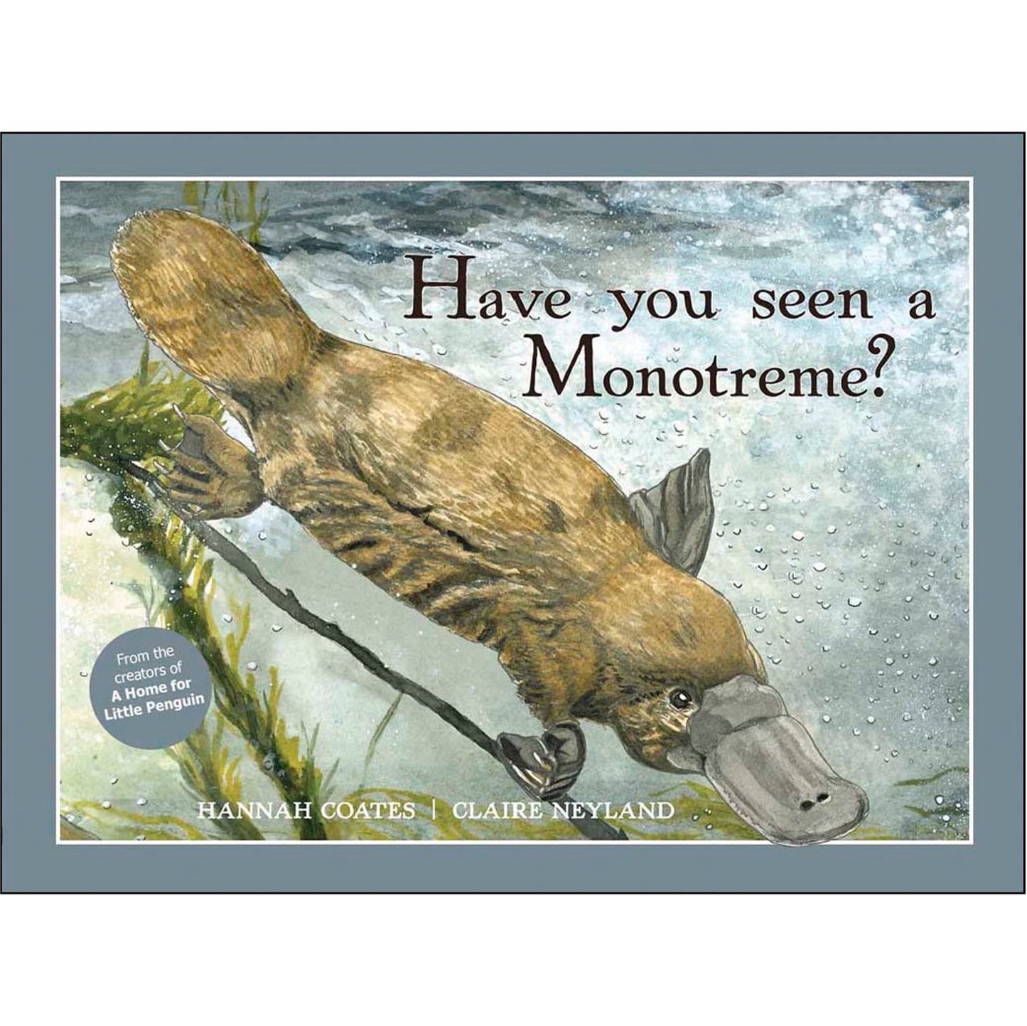 Have You Seen A Monetreme?