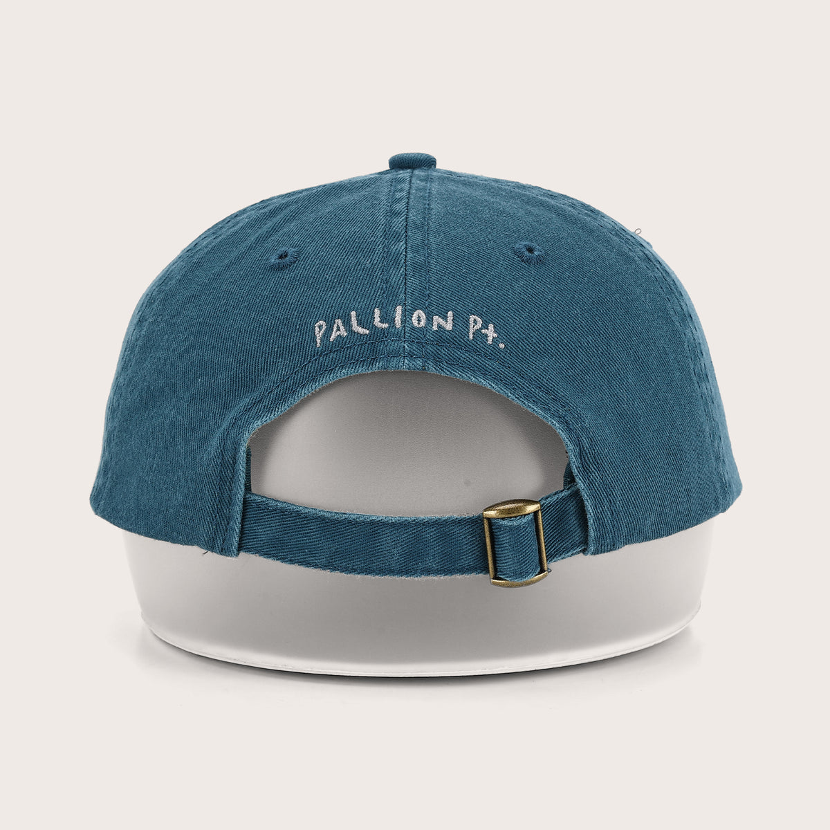 Whale Shark Cap
