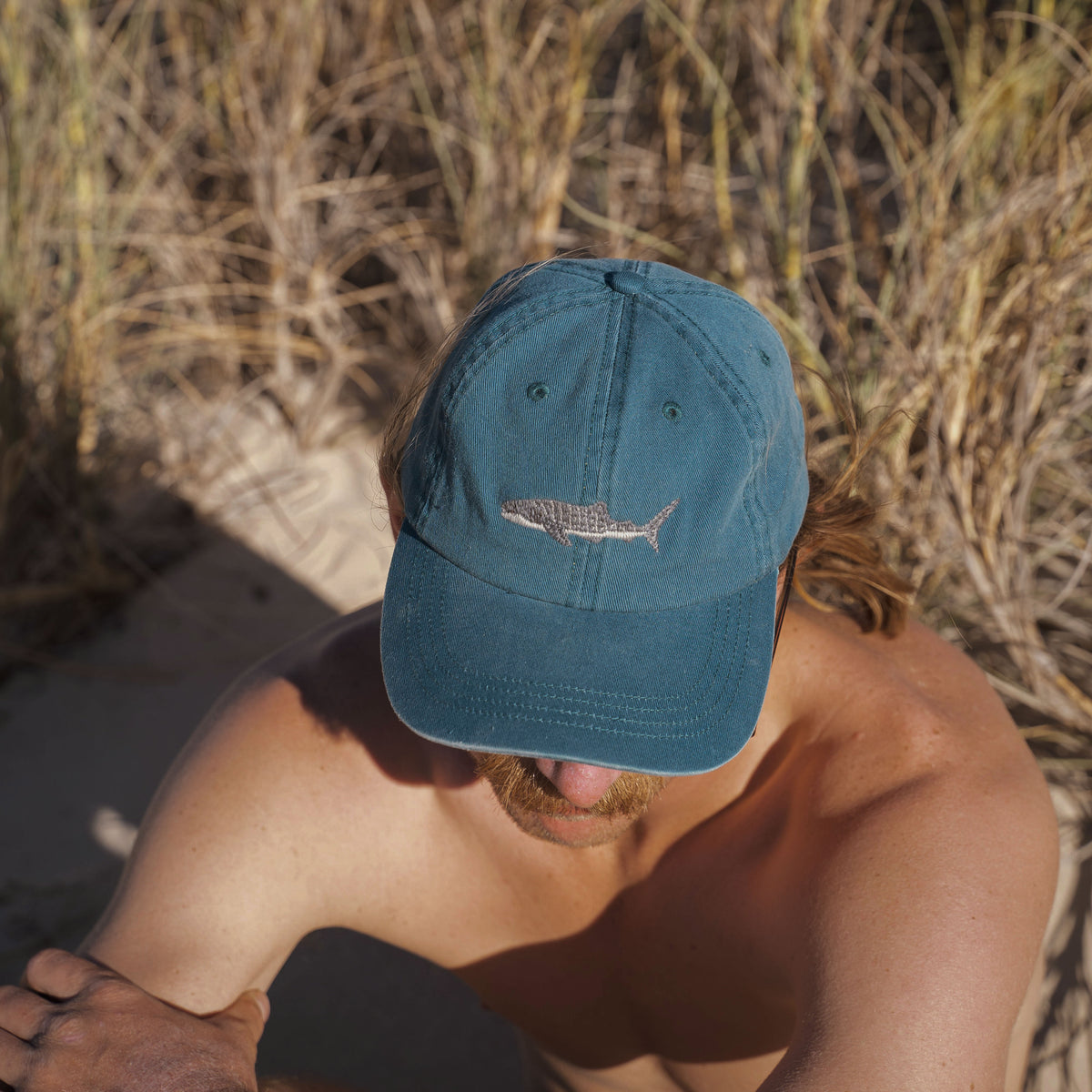 Whale Shark Cap
