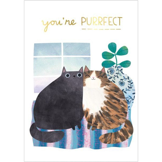 You're Purrfect Greeting Card