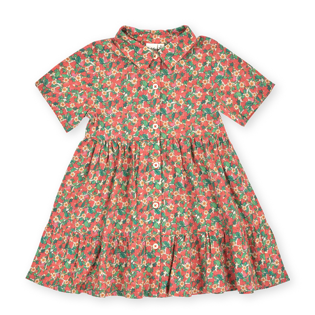 Strawberry Monica Kids Dress