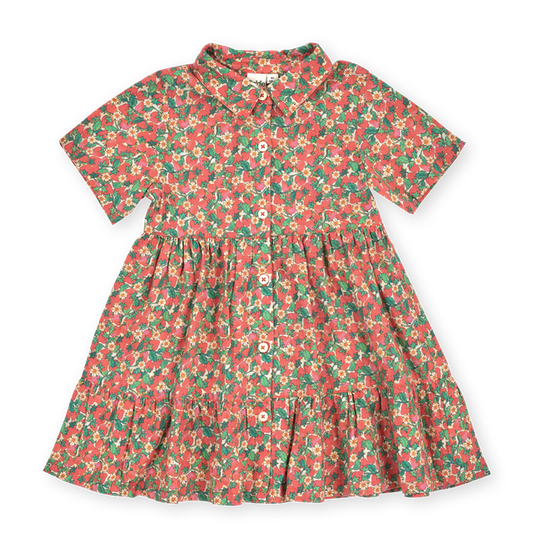 Strawberry Monica Kids Dress