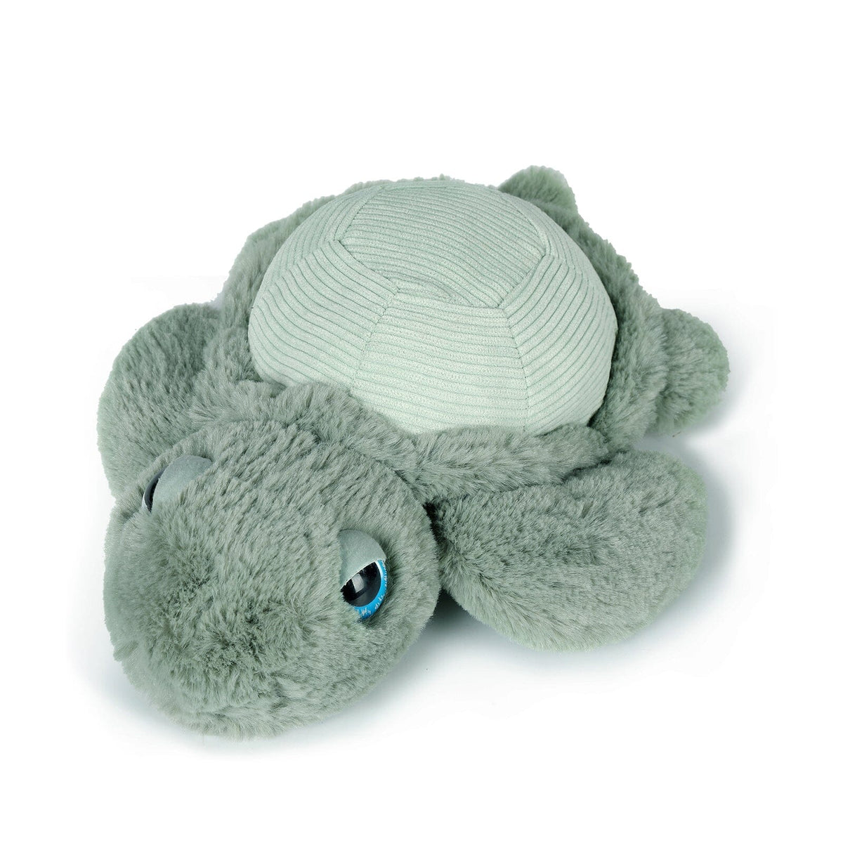 Little Tyler Turtle Soft Toy