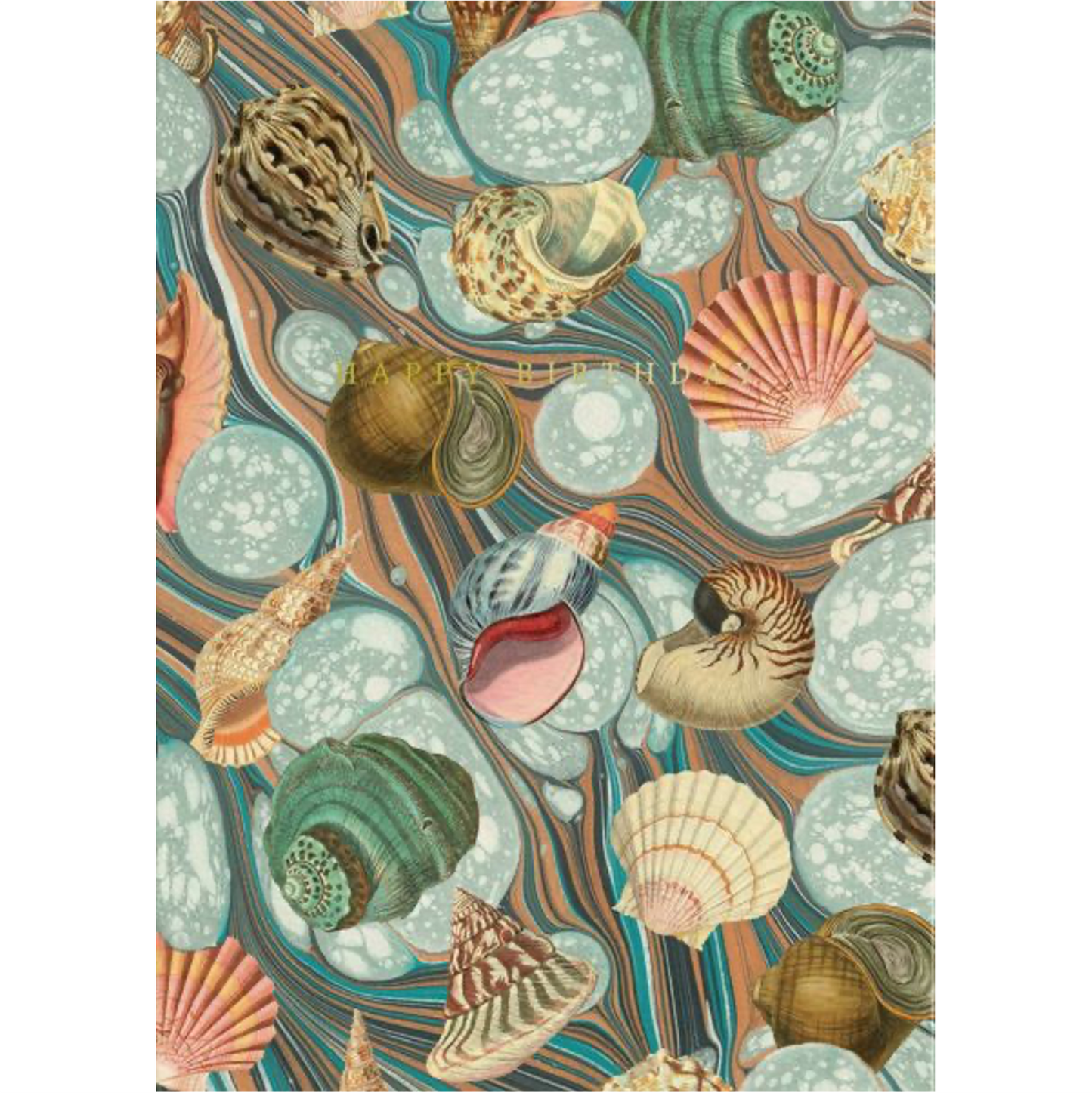 Shell Collection Greeting Card
