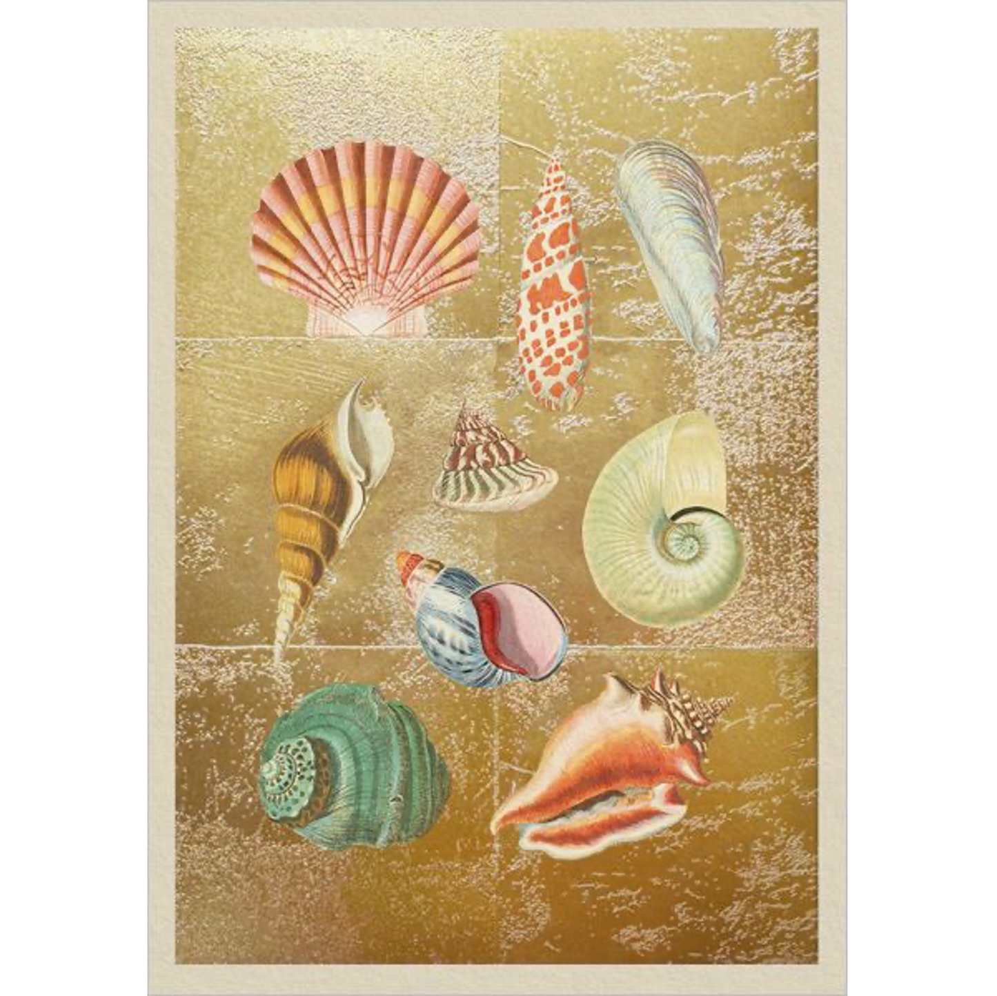 Shell Collection Foil Greeting Card